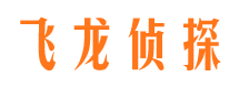 凤山飞龙私家侦探公司